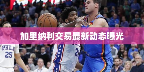 加里纳利交易最新动态曝光