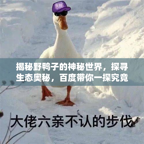 善始善终 第2页