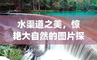 自作主张 第2页
