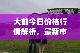 大蓟今日价格行情解析，最新市场动态，一网打尽！