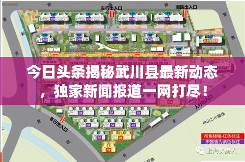 今日头条揭秘武川县最新动态，独家新闻报道一网打尽！