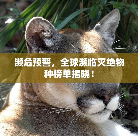 濒危预警，全球濒临灭绝物种榜单揭晓！