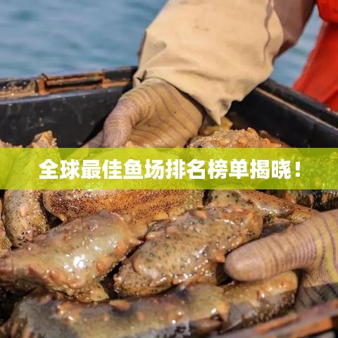 全球最佳鱼场排名榜单揭晓！