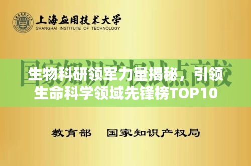 张袂成阴 第2页