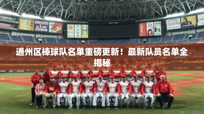 通州区棒球队名单重磅更新！最新队员名单全揭秘