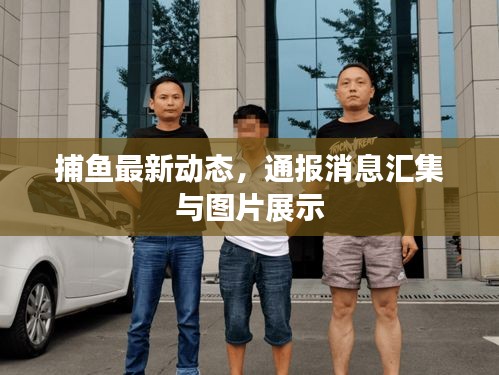 捕鱼最新动态，通报消息汇集与图片展示