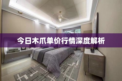 今日木爪单价行情深度解析