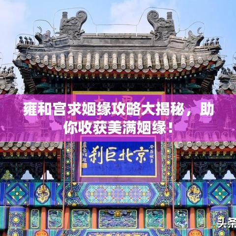 倦鸟知还 第2页