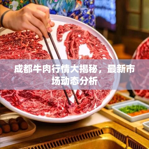 成都牛肉行情大揭秘，最新市场动态分析