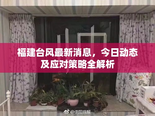 福建台风最新消息，今日动态及应对策略全解析