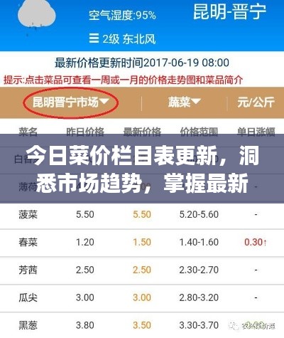 今日菜价栏目表更新，洞悉市场趋势，掌握最新菜价动态