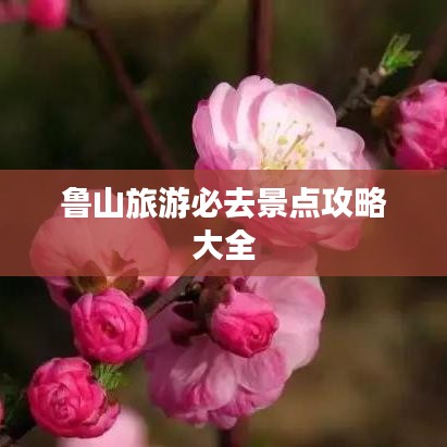 鲁山旅游必去景点攻略大全