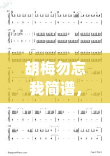 胡梅勿忘我简谱，追寻音乐的旋律