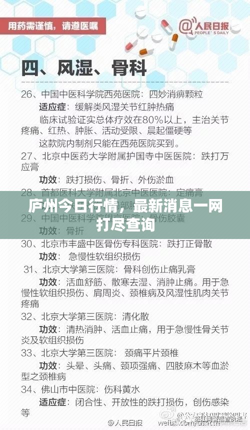 庐州今日行情，最新消息一网打尽查询