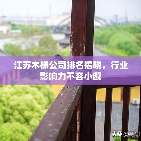 江苏木梯公司排名揭晓，行业影响力不容小觑