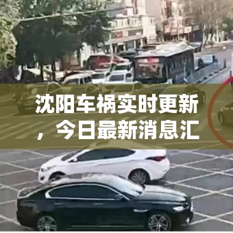 沈阳车祸实时更新，今日最新消息汇总