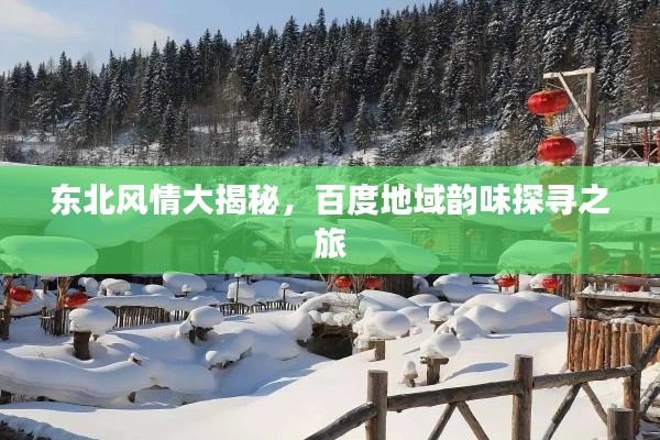 东北风情大揭秘，百度地域韵味探寻之旅