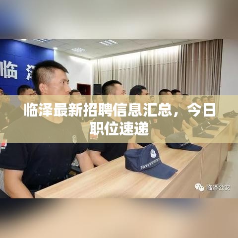 临泽最新招聘信息汇总，今日职位速递
