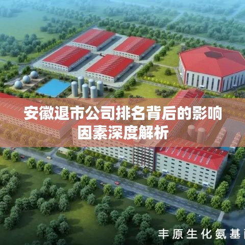 安徽退市公司排名背后的影响因素深度解析