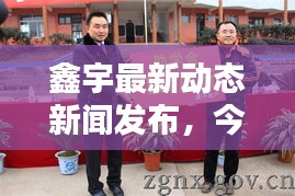 鑫宇最新动态新闻发布，今日消息一览无余！