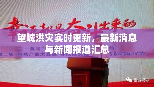 望城洪灾实时更新，最新消息与新闻报道汇总
