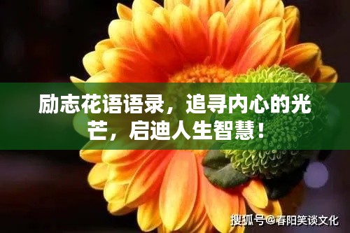 励志花语语录，追寻内心的光芒，启迪人生智慧！