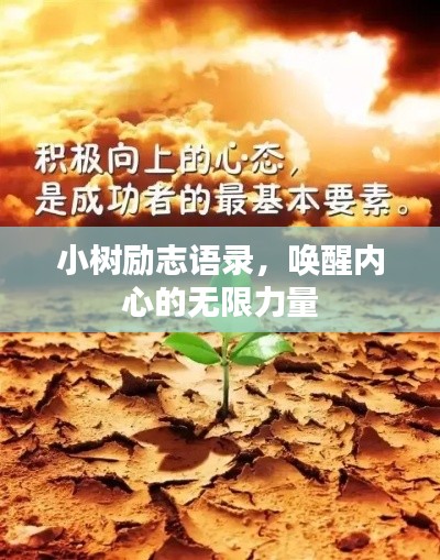 小树励志语录，唤醒内心的无限力量