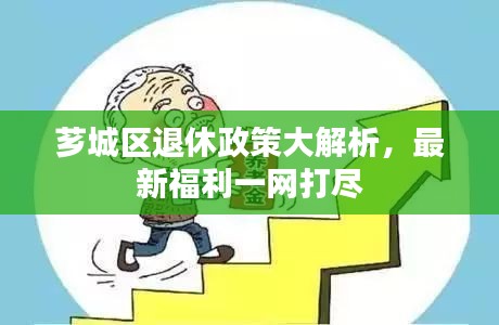 芗城区退休政策大解析，最新福利一网打尽
