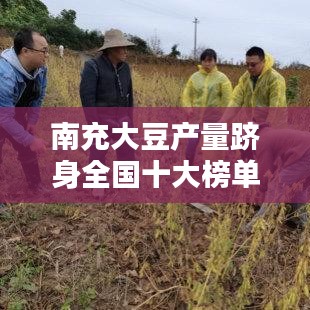 南充大豆产量跻身全国十大榜单！