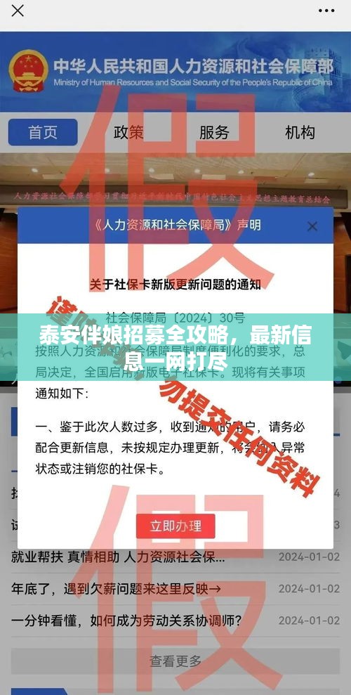 泰安伴娘招募全攻略，最新信息一网打尽