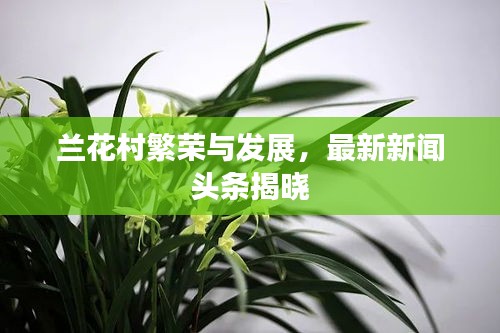 龙飞凤舞 第2页