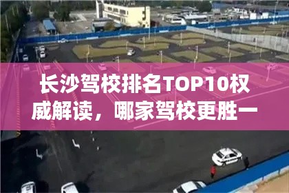 洵属可贵 第2页