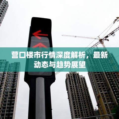 营口楼市行情深度解析，最新动态与趋势展望
