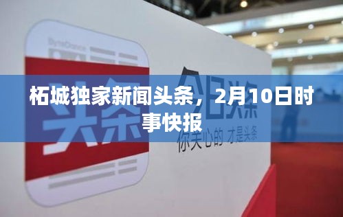 柘城独家新闻头条，2月10日时事快报