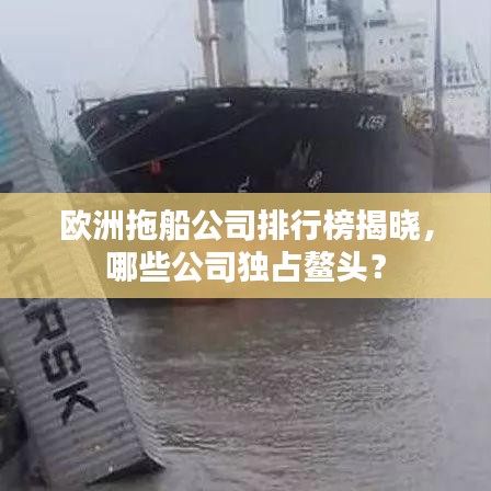 欧洲拖船公司排行榜揭晓，哪些公司独占鳌头？