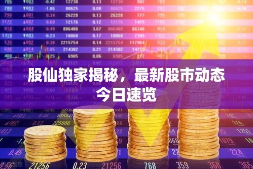 股仙独家揭秘，最新股市动态今日速览