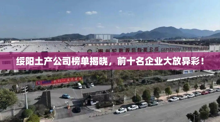 下里巴人 第2页
