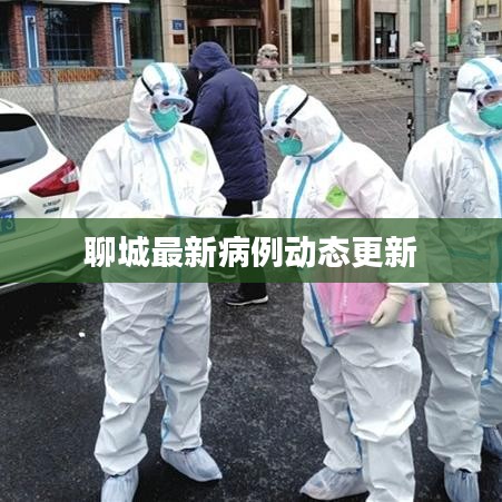 聊城最新病例动态更新
