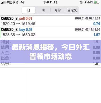 最新消息揭秘，今日外汇普顿市场动态