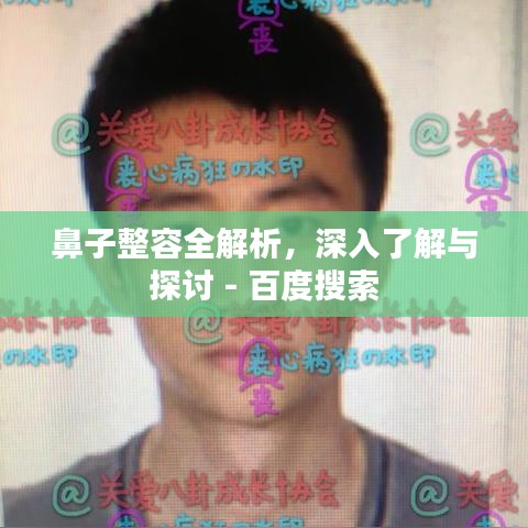 美如冠玉 第2页