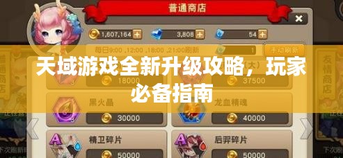 天域游戏全新升级攻略，玩家必备指南