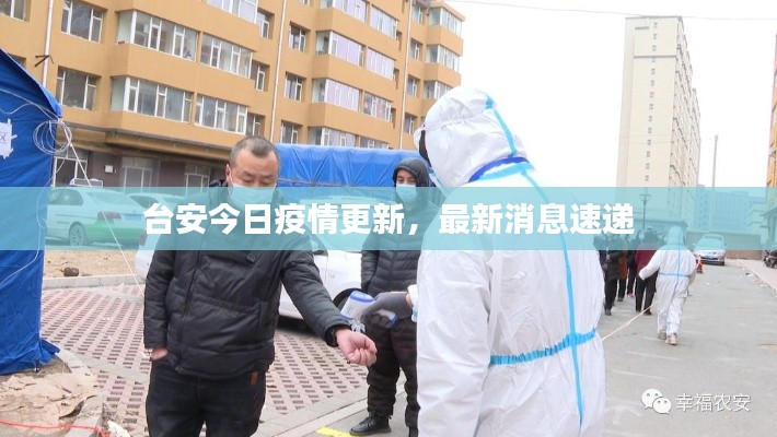 台安今日疫情更新，最新消息速递