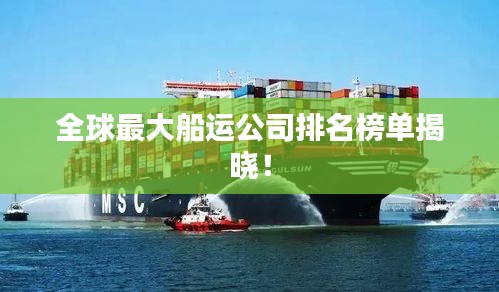 全球最大船运公司排名榜单揭晓！
