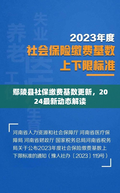 鄢陵县社保缴费基数更新，2024最新动态解读