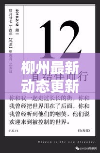 柳州最新动态更新，今日要闻速递