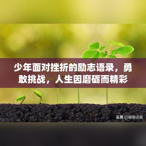 少年面对挫折的励志语录，勇敢挑战，人生因磨砺而精彩