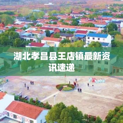 湖北孝昌县王店镇最新资讯速递