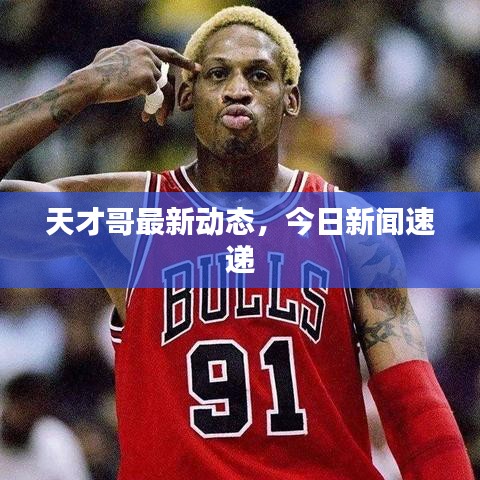 天才哥最新动态，今日新闻速递