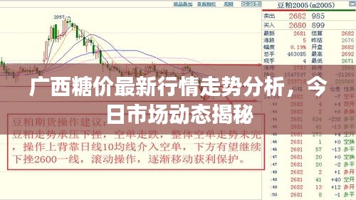 广西糖价最新行情走势分析，今日市场动态揭秘