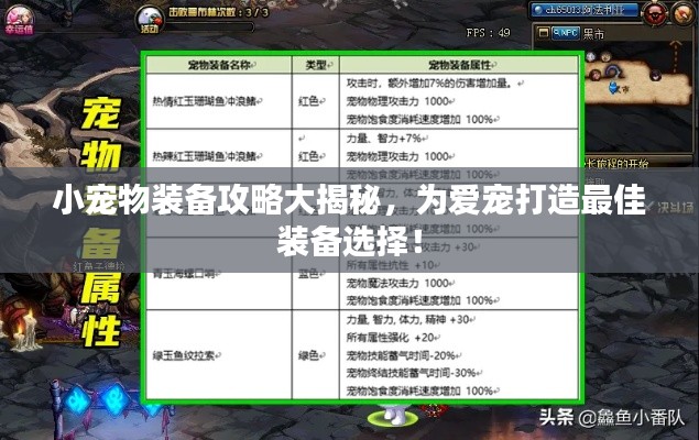 小宠物装备攻略大揭秘，为爱宠打造最佳装备选择！